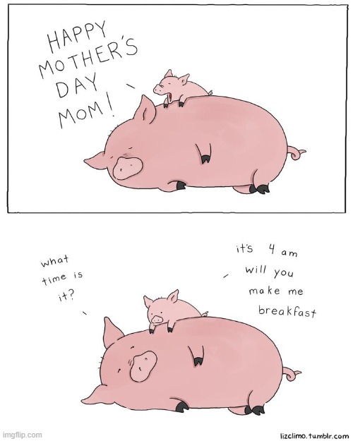 image tagged in mother's day,pigs,morning,breakfast | made w/ Imgflip meme maker