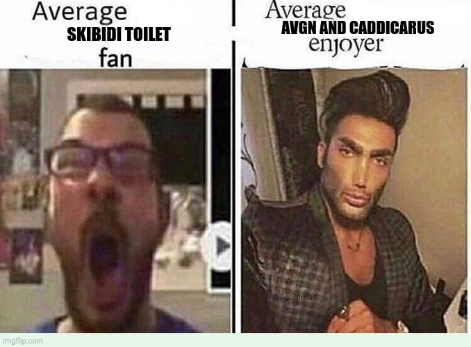 To every skibidi toilet fan | AVGN AND CADDICARUS; SKIBIDI TOILET | image tagged in average blank fan vs average blank enjoyer | made w/ Imgflip meme maker