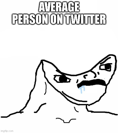 twitter in a nutshell | AVERAGE PERSON ON TWITTER | image tagged in angry brainlet,twitter,fun | made w/ Imgflip meme maker