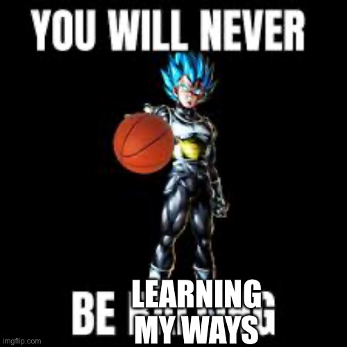 You will never be ballin | LEARNING MY WAYS | image tagged in you will never be ballin | made w/ Imgflip meme maker