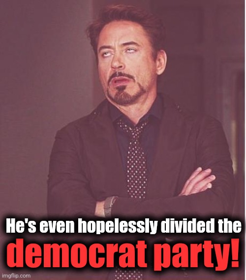 Face You Make Robert Downey Jr Meme | democrat party! He's even hopelessly divided the | image tagged in memes,face you make robert downey jr | made w/ Imgflip meme maker