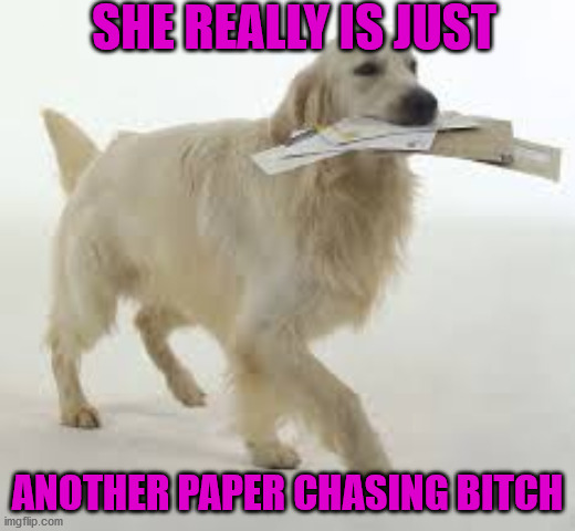 She is just | SHE REALLY IS JUST; ANOTHER PAPER CHASING BITCH | image tagged in funny | made w/ Imgflip meme maker