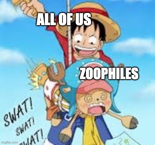 Luffy spanking Chopper | ALL OF US ZOOPHILES | image tagged in luffy spanking chopper | made w/ Imgflip meme maker