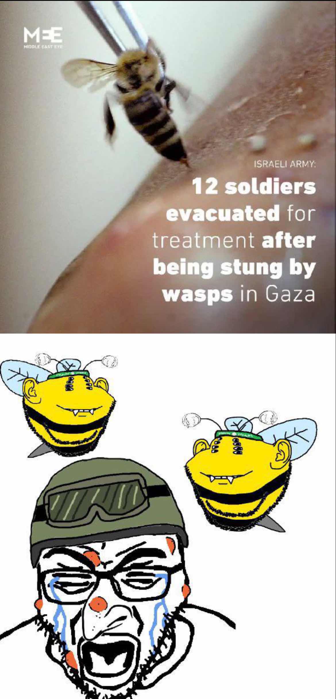 High Quality Karma for IDF Terrorists Disrespecting Humanity and Life Itself Blank Meme Template