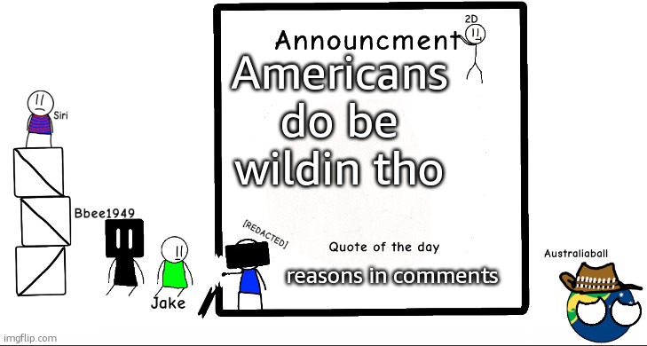 (InvaderBethany: Approved to have a polite discussion.) | Americans do be wildin tho; reasons in comments | image tagged in bbee1949 ann temp 2 | made w/ Imgflip meme maker