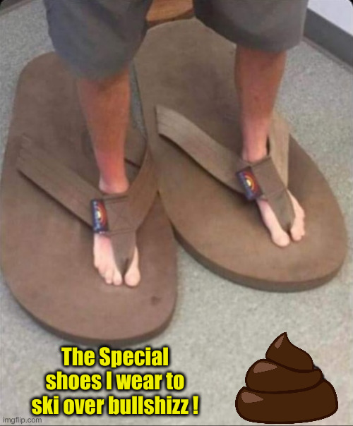 I Call Them Sh*tSkeez | The Special shoes I wear to ski over bullshizz ! | image tagged in big shoes little feet,funny memes,funny | made w/ Imgflip meme maker