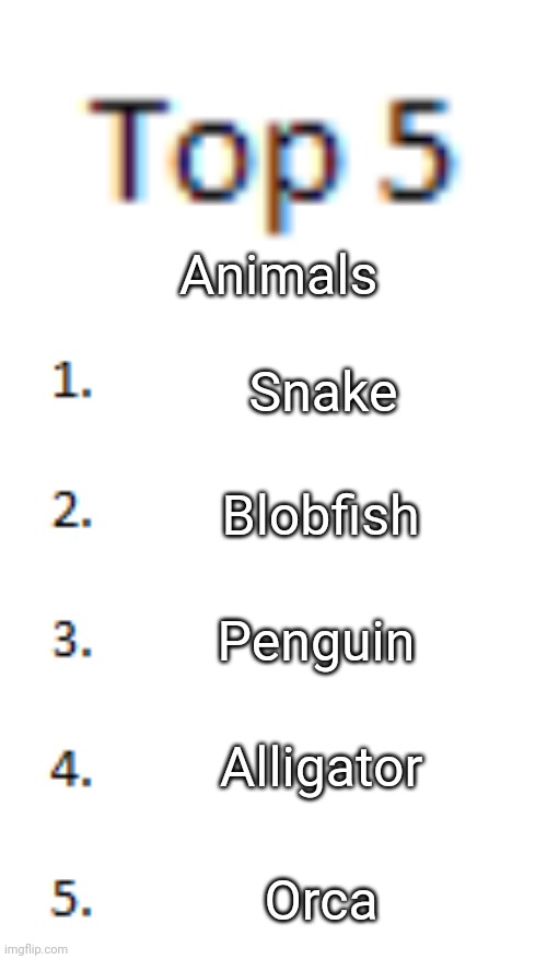 This is in no particular order | Animals; Snake; Blobfish; Penguin; Alligator; Orca | image tagged in top 5 list | made w/ Imgflip meme maker