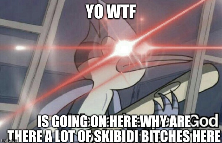 Can anyone ban all skibidi lovers here | YO WTF; IS GOING ON HERE WHY ARE THERE A LOT OF SKIBIDI BITCHES HERE | image tagged in we can't expect god to do all the work | made w/ Imgflip meme maker