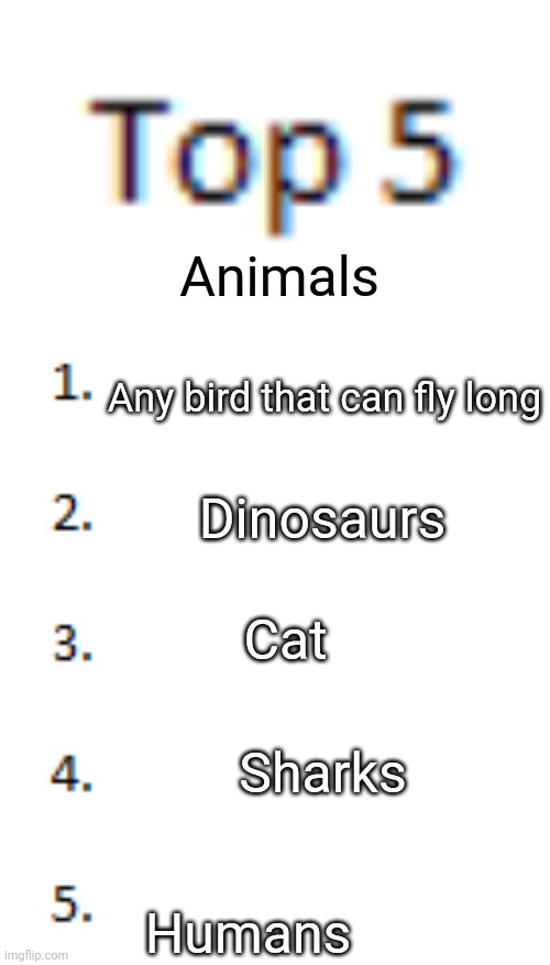 Top 5 List | Animals; Any bird that can fly long; Dinosaurs; Cat; Sharks; Humans | image tagged in top 5 list | made w/ Imgflip meme maker