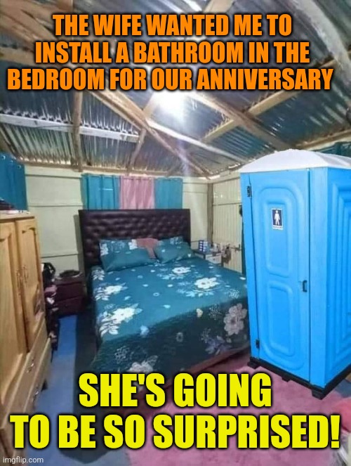 My girl likes to potty all the time... | THE WIFE WANTED ME TO INSTALL A BATHROOM IN THE BEDROOM FOR OUR ANNIVERSARY; SHE'S GOING TO BE SO SURPRISED! | image tagged in bathroom humor,romantic,husband,greatness | made w/ Imgflip meme maker