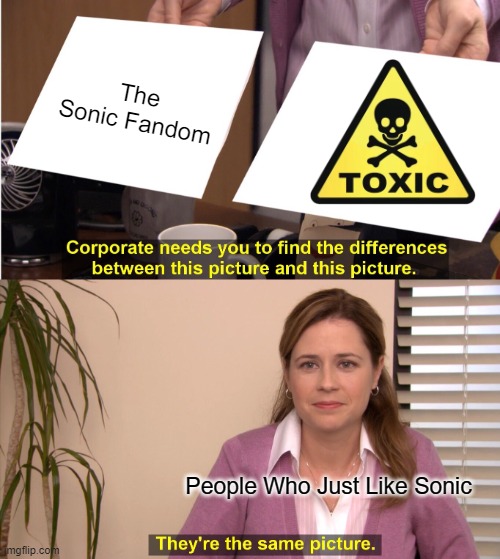 They're The Same Picture | The Sonic Fandom; People Who Just Like Sonic | image tagged in memes,they're the same picture,sonic the hedgehog,sonic fanbase,sega,sonic | made w/ Imgflip meme maker