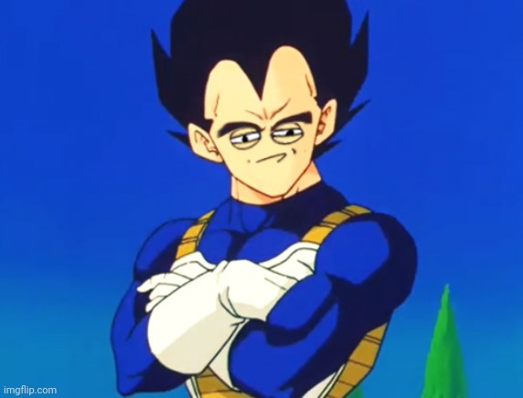 Challenge Accepted Vegeta | image tagged in challenge accepted vegeta | made w/ Imgflip meme maker