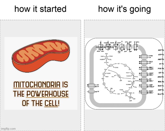 Good old mitochondria | image tagged in how it started vs how it's going,biology,chemistry,science | made w/ Imgflip meme maker