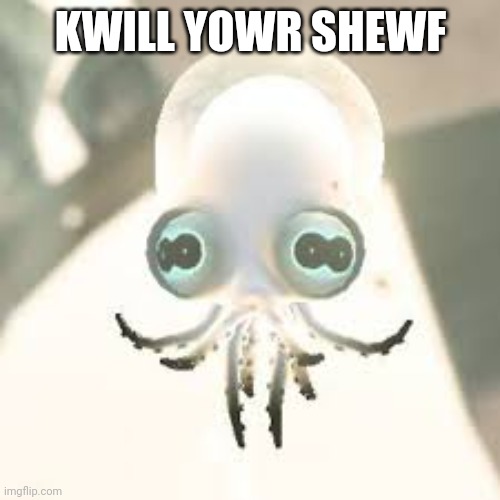 KWILL YOWR SHEWF | made w/ Imgflip meme maker