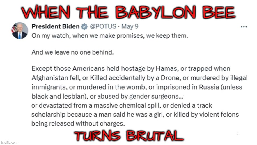 The Babylon Bee was supposed to be satire | WHEN THE BABYLON BEE; TURNS BRUTAL | image tagged in satire,fjb,joe biden,biden,task failed successfully,mission failed | made w/ Imgflip meme maker