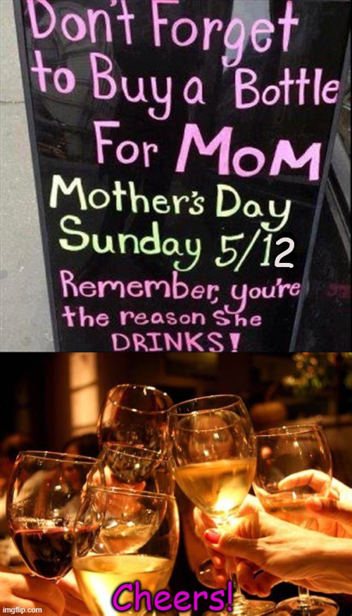 We Wouldn't Be Here If Not For You! | 2; Cheers! | image tagged in mothers day,humor,love honor respect,moms,grateful,i love you | made w/ Imgflip meme maker