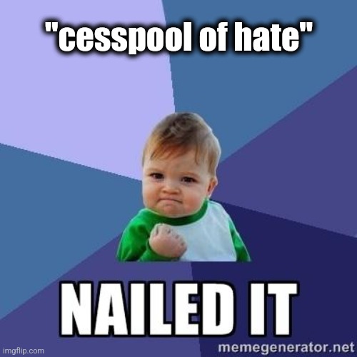 nailed it | "cesspool of hate" | image tagged in nailed it | made w/ Imgflip meme maker
