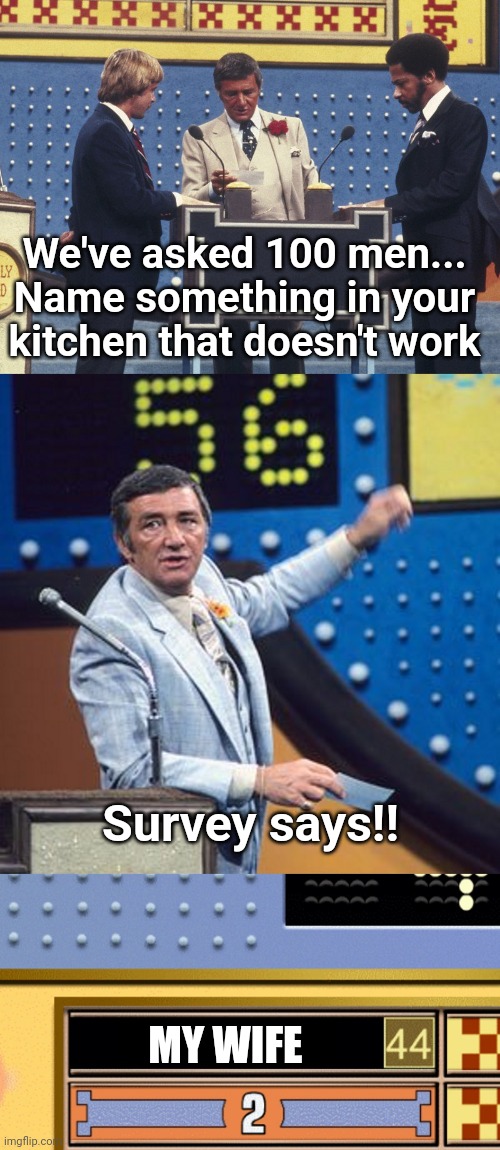 I'm going to get in trouble for posting this... | We've asked 100 men... Name something in your kitchen that doesn't work; Survey says!! MY WIFE | image tagged in family feud survey says | made w/ Imgflip meme maker