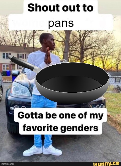 gotta be one of my favorite genders | pans | image tagged in gotta be one of my favorite genders | made w/ Imgflip meme maker