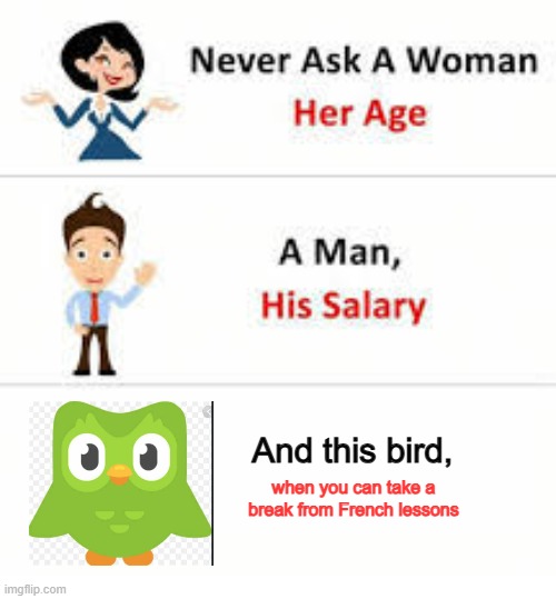 Bro I need a freaking break! | And this bird, when you can take a break from French lessons | image tagged in never ask a woman her age,duolingo,funny,relatable,school,oh wow are you actually reading these tags | made w/ Imgflip meme maker
