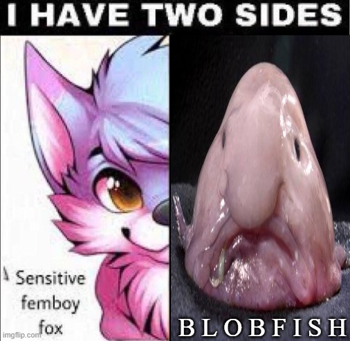 blobfish. | B L O B F I S H | image tagged in blobfish | made w/ Imgflip meme maker