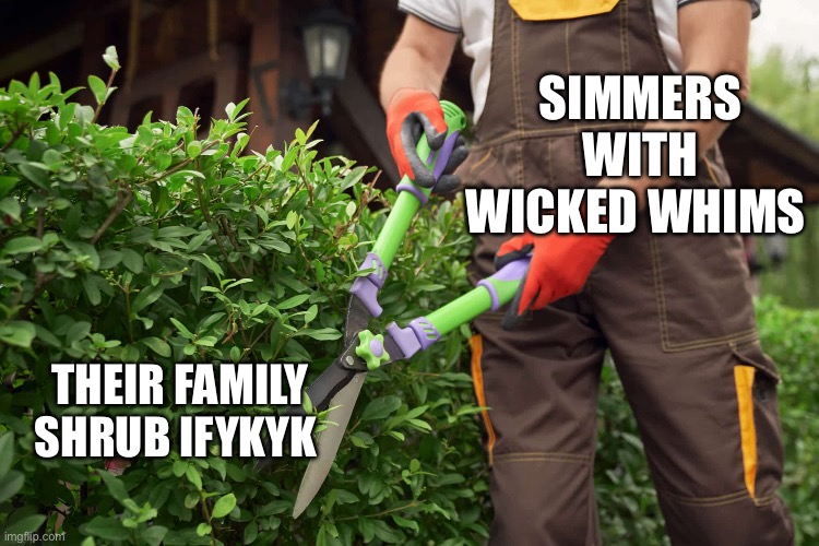 Shrubs | SIMMERS WITH WICKED WHIMS; THEIR FAMILY SHRUB IFYKYK | image tagged in shrubs | made w/ Imgflip meme maker