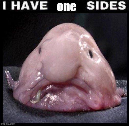 I have two sides | one | image tagged in i have two sides | made w/ Imgflip meme maker