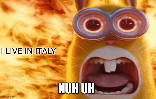 Shut up | I LIVE IN ITALY; NUH UH | image tagged in minion rabbit screaming | made w/ Imgflip meme maker