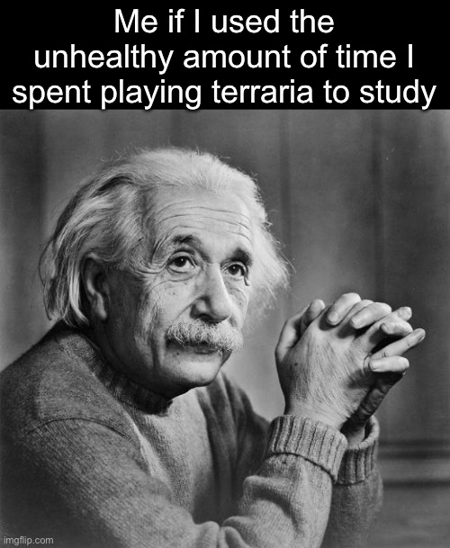 . | Me if I used the unhealthy amount of time I spent playing terraria to study | image tagged in einstein | made w/ Imgflip meme maker