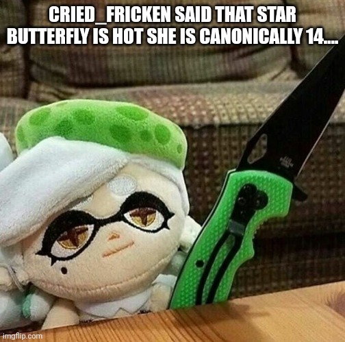 Marie plush with a knife | CRIED_FRICKEN SAID THAT STAR BUTTERFLY IS HOT SHE IS CANONICALLY 14.... | image tagged in marie plush with a knife | made w/ Imgflip meme maker