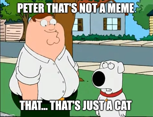 PETER THAT'S NOT A MEME THAT... THAT'S JUST A CAT | made w/ Imgflip meme maker