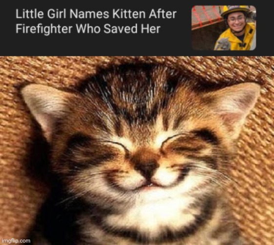 A saved kitten | image tagged in smiling kitten,kitten,cats,cat,memes,firefighter | made w/ Imgflip meme maker