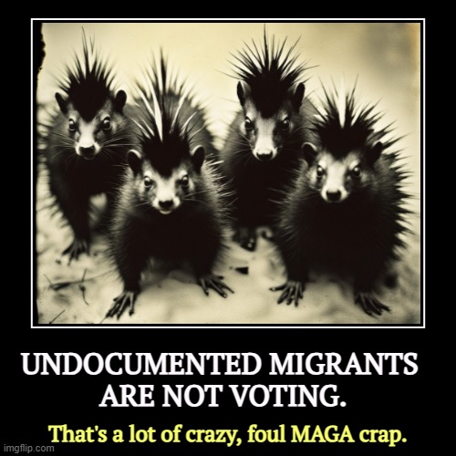 MAGA isn't worried that undocumented migrants will vote in federal elections. They're worried Americans will vote. | UNDOCUMENTED MIGRANTS 
ARE NOT VOTING. | That's a lot of crazy, foul MAGA crap. | image tagged in funny,demotivationals,crazy,racist,maga,illegal immigrants | made w/ Imgflip demotivational maker