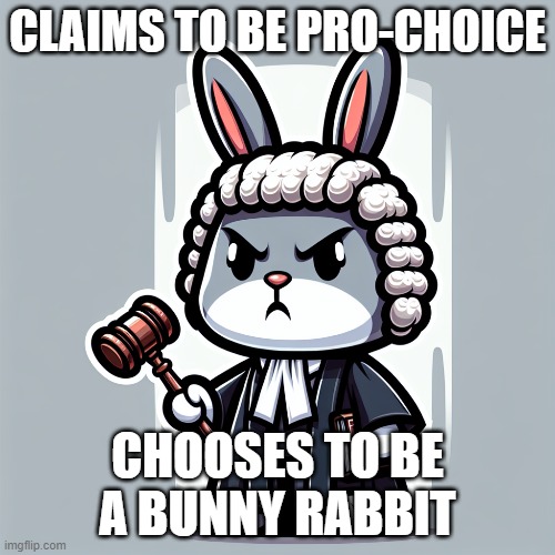 Ruth bunny ginsburg | CLAIMS TO BE PRO-CHOICE; CHOOSES TO BE A BUNNY RABBIT | made w/ Imgflip meme maker