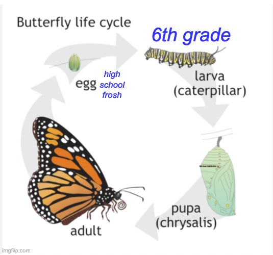 6th grade high
school
frosh | made w/ Imgflip meme maker