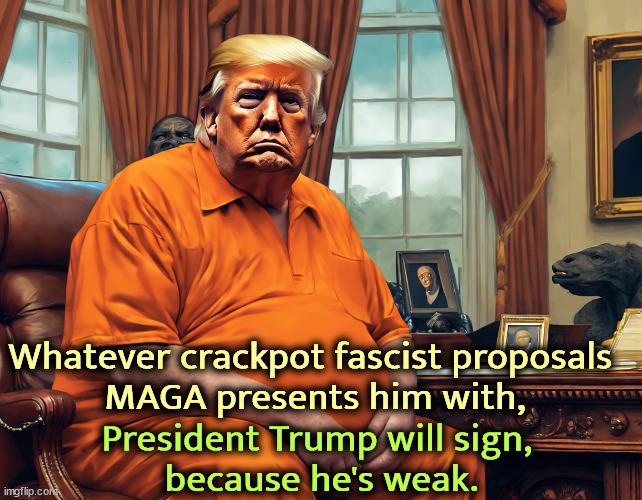 Trump, prisoner of the MAGA Knucklehead Fringe. | Whatever crackpot fascist proposals 
MAGA presents him with, President Trump will sign, 
because he's weak. | image tagged in trump,weak,maga,crazy,extreme,fascist | made w/ Imgflip meme maker