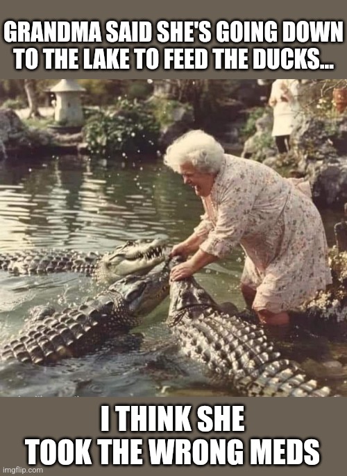 Grandma Dundee | GRANDMA SAID SHE'S GOING DOWN TO THE LAKE TO FEED THE DUCKS... I THINK SHE TOOK THE WRONG MEDS | image tagged in crocodile,feeding,grandma,crocodile dundee,wrong,medication | made w/ Imgflip meme maker