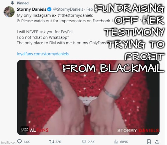 Stormy trying to profit from trial | FUNDRAISING
OFF HER
TESTIMONY; TRYING TO
PROFIT
FROM BLACKMAIL | image tagged in stormy daniels,blackmail,election fraud,maga,make america great again,trump | made w/ Imgflip meme maker