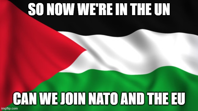Palestine Flag | SO NOW WE'RE IN THE UN; CAN WE JOIN NATO AND THE EU | image tagged in palestine flag | made w/ Imgflip meme maker