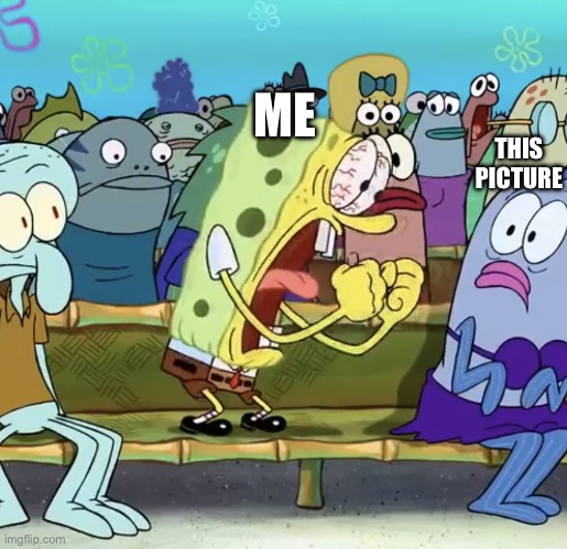 Spongebob Yelling | ME THIS PICTURE | image tagged in spongebob yelling | made w/ Imgflip meme maker