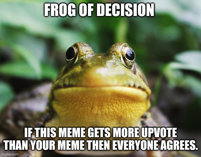 Frog of Shame | FROG OF DECISION IF THIS MEME GETS MORE UPVOTE THAN YOUR MEME THEN EVERYONE AGREES. | image tagged in frog of shame | made w/ Imgflip meme maker
