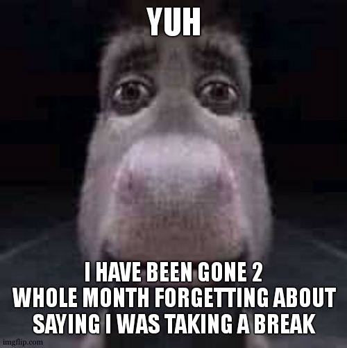 i dont even know if yall remember me | YUH; I HAVE BEEN GONE 2 WHOLE MONTH FORGETTING ABOUT SAYING I WAS TAKING A BREAK | image tagged in donkey staring | made w/ Imgflip meme maker