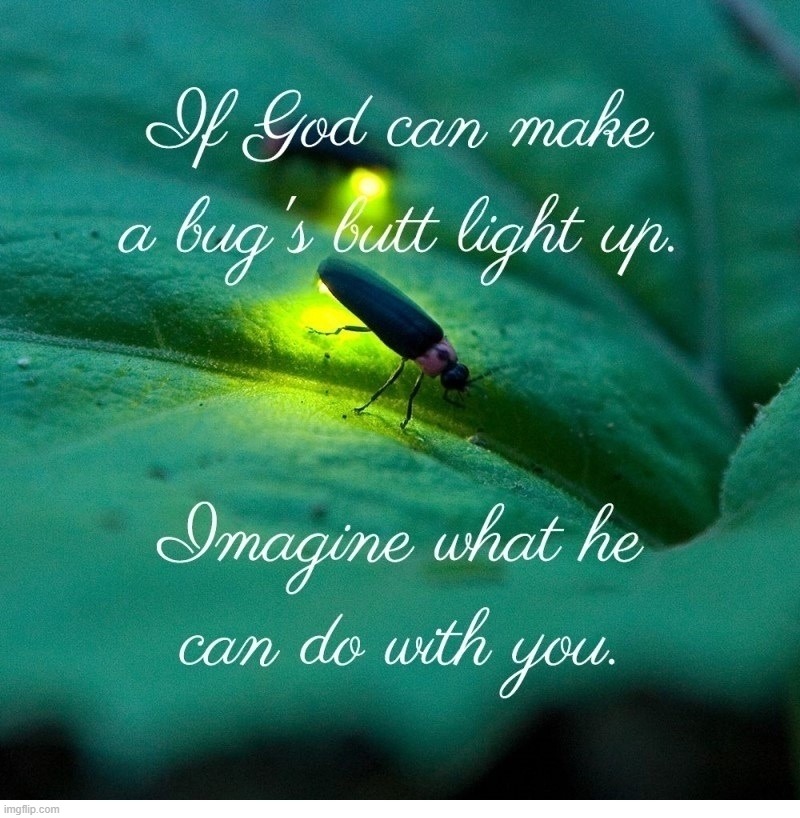 If God can make a bug's butt light up, imagine what He can do with a faggot's ass? | image tagged in butt sex,anal sex,anal probes,gay sex,queer nation,stupid people be like | made w/ Imgflip meme maker