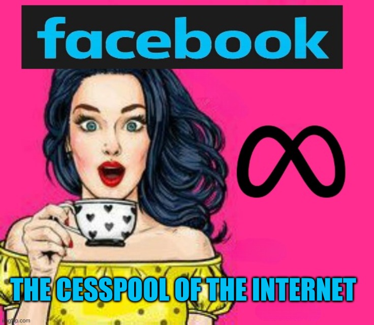 The Social Engineers Hate Us. | THE CESSPOOL OF THE INTERNET | image tagged in girl drinking coffee,cesspool,shithole,criminals,meta,what if i told you | made w/ Imgflip meme maker