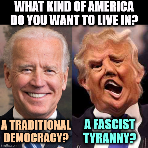 Trump spits on the Founding Fathers and the Constitution. Do you? | WHAT KIND OF AMERICA DO YOU WANT TO LIVE IN? A TRADITIONAL DEMOCRACY? A FASCIST TYRANNY? | image tagged in biden solid stable trump acid drugs,biden,american,democracy,trump,fascist | made w/ Imgflip meme maker