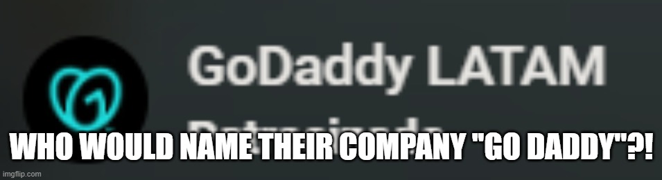 SERIOUSLY WHAT | WHO WOULD NAME THEIR COMPANY ''GO DADDY''?! | image tagged in gogogo,flop,era,is entering me | made w/ Imgflip meme maker