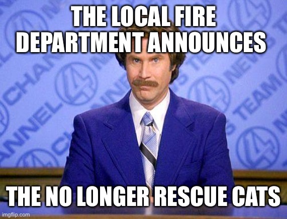 anchorman news update | THE LOCAL FIRE DEPARTMENT ANNOUNCES THE NO LONGER RESCUE CATS | image tagged in anchorman news update | made w/ Imgflip meme maker