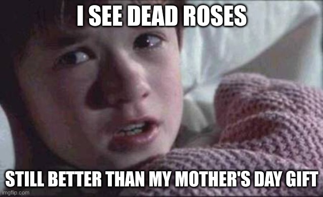 I See Dead People | I SEE DEAD ROSES; STILL BETTER THAN MY MOTHER'S DAY GIFT | image tagged in memes,i see dead people | made w/ Imgflip meme maker