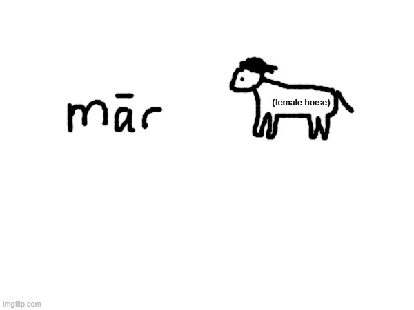 (female horse) | made w/ Imgflip meme maker