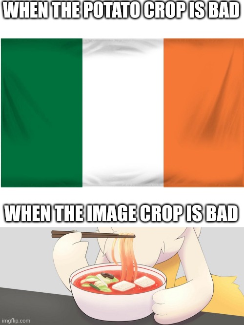 Those who know, know | WHEN THE POTATO CROP IS BAD; WHEN THE IMAGE CROP IS BAD | image tagged in ireland flag,braixen | made w/ Imgflip meme maker